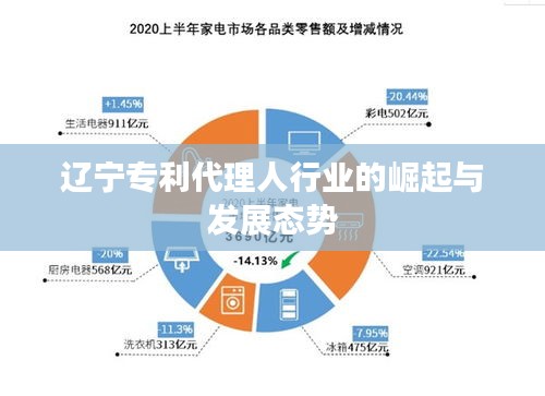 辽宁专利代理人行业的崛起与发展态势