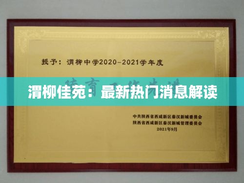 渭柳佳苑：最新热门消息解读