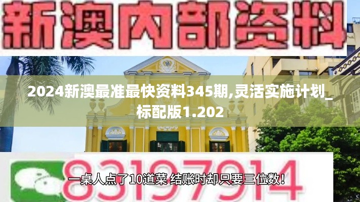 2024新澳最准最快资料345期,灵活实施计划_标配版1.202