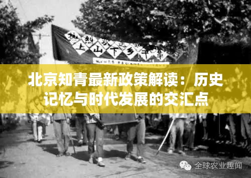 北京知青最新政策解读：历史记忆与时代发展的交汇点