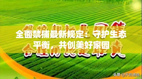 全面禁捕最新规定：守护生态平衡，共创美好家园