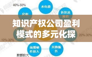 知识产权公司盈利模式的多元化探索