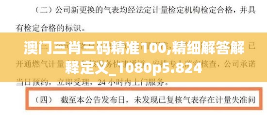 澳门三肖三码精准100,精细解答解释定义_1080p5.824