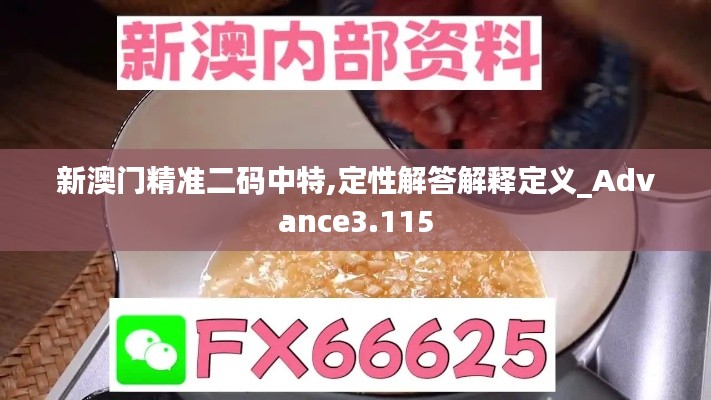 新澳门精准二码中特,定性解答解释定义_Advance3.115