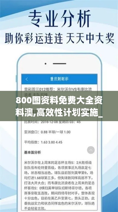 800图资料免费大全资料澳,高效性计划实施_进阶版11.539