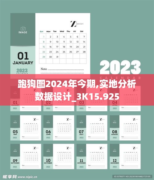 跑狗图2024年今期,实地分析数据设计_3K15.925