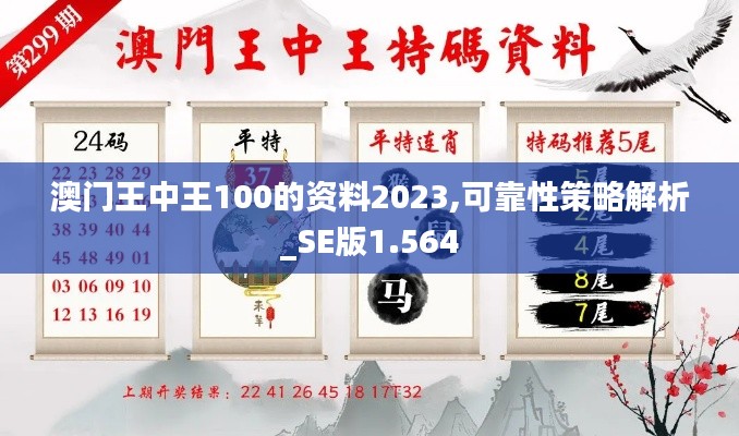 澳门王中王100的资料2023,可靠性策略解析_SE版1.564