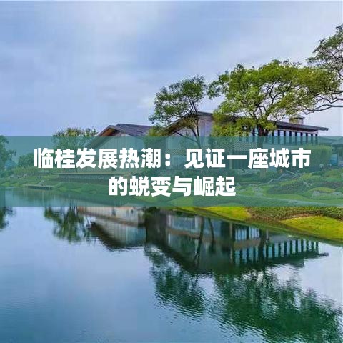 临桂发展热潮：见证一座城市的蜕变与崛起