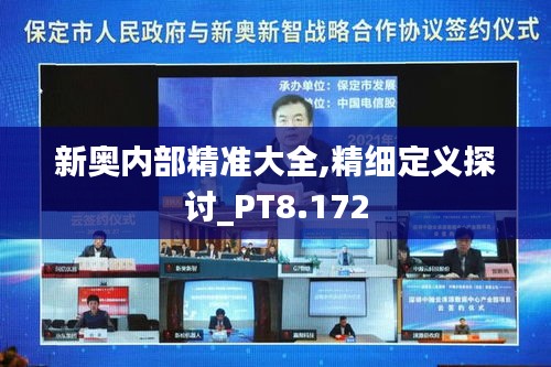 新奥内部精准大全,精细定义探讨_PT8.172