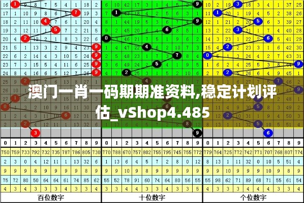 澳门一肖一码期期准资料,稳定计划评估_vShop4.485