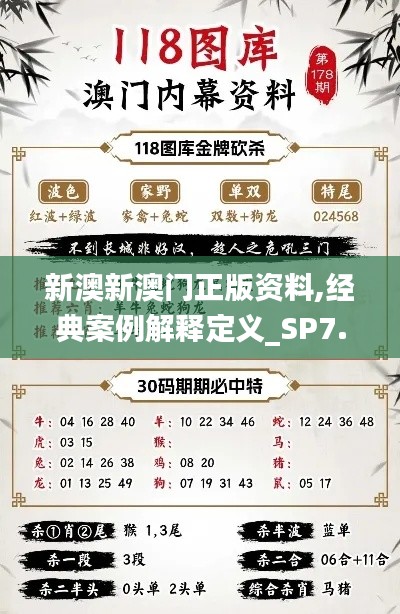 新澳新澳门正版资料,经典案例解释定义_SP7.157