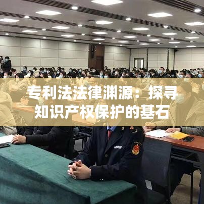 专利法法律渊源：探寻知识产权保护的基石