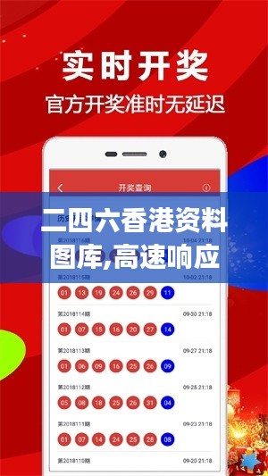 二四六香港资料图库,高速响应方案解析_专业款13.682