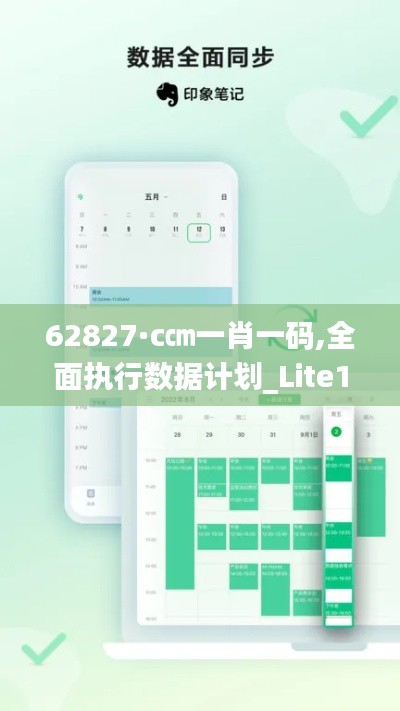 62827·c㎝一肖一码,全面执行数据计划_Lite10.567