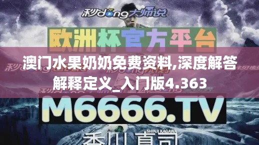 澳门水果奶奶免费资料,深度解答解释定义_入门版4.363