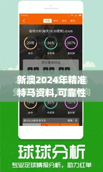 新澳2024年精准特马资料,可靠性计划解析_旗舰款10.132