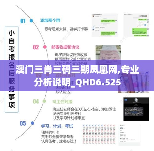 澳门三肖三码三期凤凰网,专业分析说明_QHD6.525