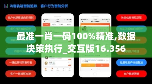 最准一肖一码100%精准,数据决策执行_交互版16.356