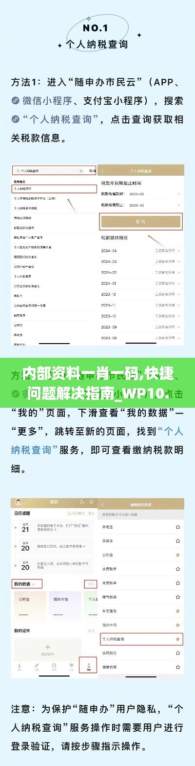 内部资料一肖一码,快捷问题解决指南_WP10.986