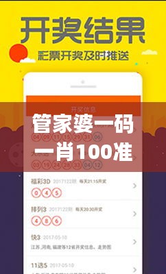 管家婆一码一肖100准,稳定性计划评估_理财版8.222