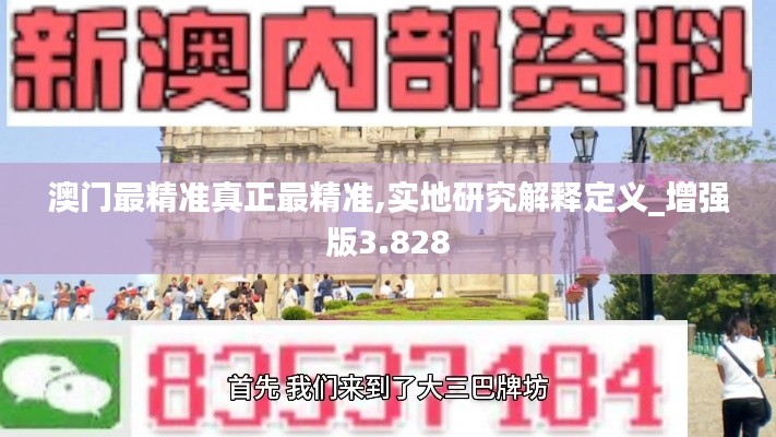 澳门最精准真正最精准,实地研究解释定义_增强版3.828