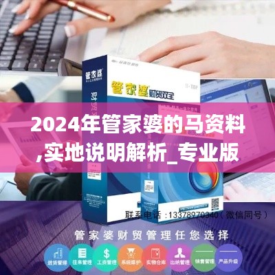 2024年管家婆的马资料,实地说明解析_专业版8.180