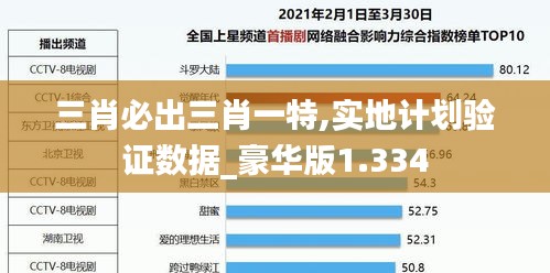 三肖必出三肖一特,实地计划验证数据_豪华版1.334