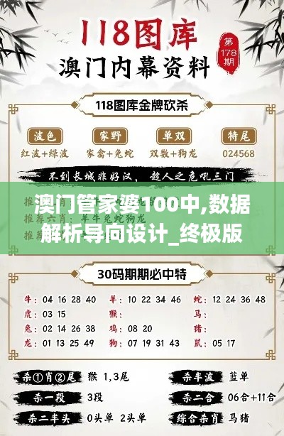 澳门管家婆100中,数据解析导向设计_终极版7.730