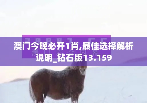 澳门今晚必开1肖,最佳选择解析说明_钻石版13.159