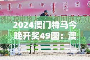 2024澳门特马今晚开奖49图：澳门特马，速度与激情的完美结合