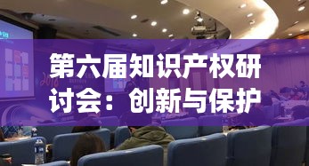 第六届知识产权研讨会：创新与保护的交汇点