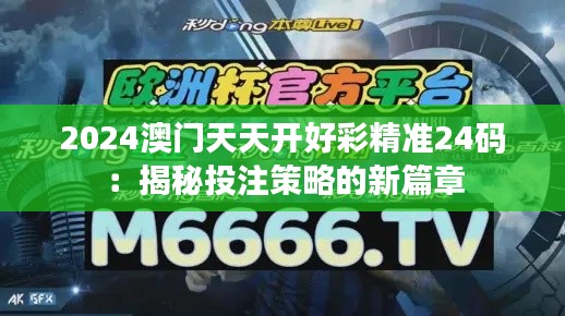 2024澳门天天开好彩精准24码：揭秘投注策略的新篇章