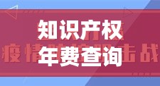 知识产权年费查询网：一站式服务，助您轻松管理知识产权