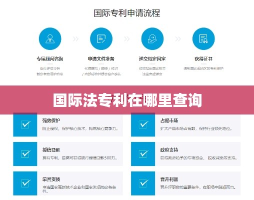 国际法专利在哪里查询