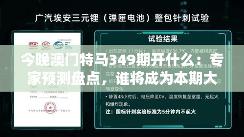 今晚澳门特马349期开什么：专家预测盘点，谁将成为本期大赢家？