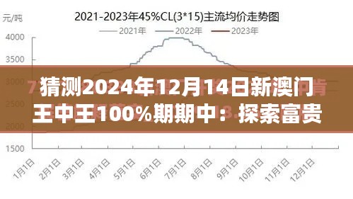 猜测2024年12月14日新澳门王中王100%期期中：探索富贵赢家的秘密