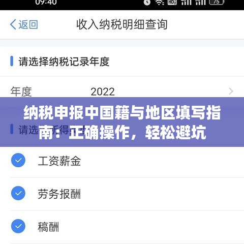 纳税申报中国籍与地区填写指南：正确操作，轻松避坑