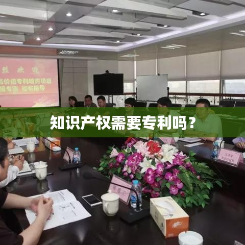 知识产权需要专利吗？