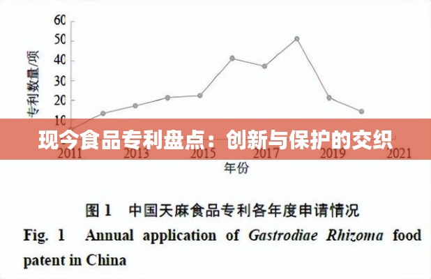 现今食品专利盘点：创新与保护的交织