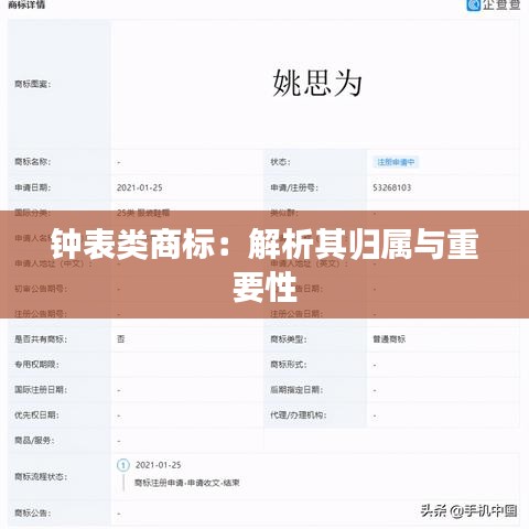 钟表类商标：解析其归属与重要性