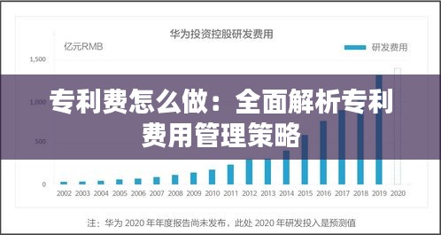 专利费怎么做：全面解析专利费用管理策略