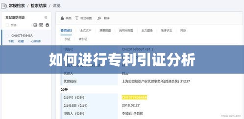 如何进行专利引证分析