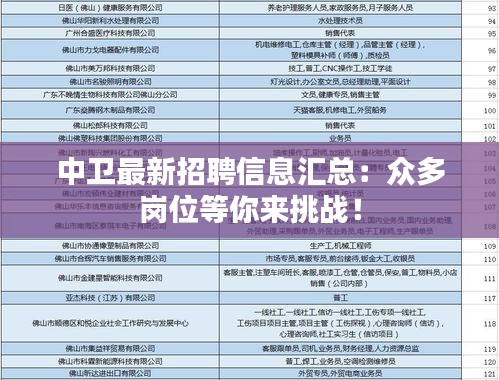 中卫最新招聘信息汇总：众多岗位等你来挑战！