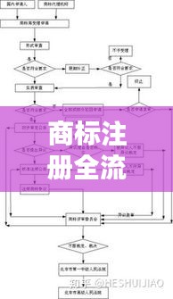 商标注册全流程解析：分阶段详解注册过程