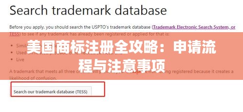 美国商标注册全攻略：申请流程与注意事项