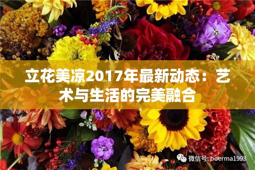 立花美凉2017年最新动态：艺术与生活的完美融合