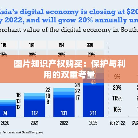 图片知识产权购买：保护与利用的双重考量