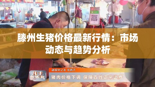 滕州生猪价格最新行情：市场动态与趋势分析