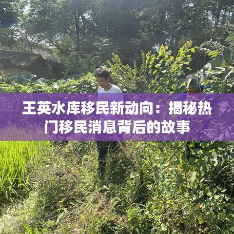 王英水库移民新动向：揭秘热门移民消息背后的故事