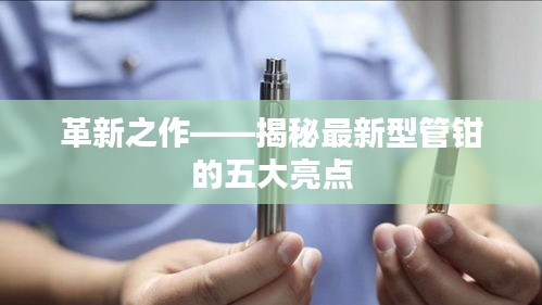 革新之作——揭秘最新型管钳的五大亮点